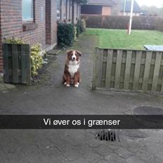 Blanding af racer Valder