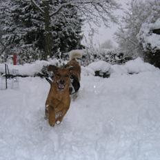 Blanding af racer Kato