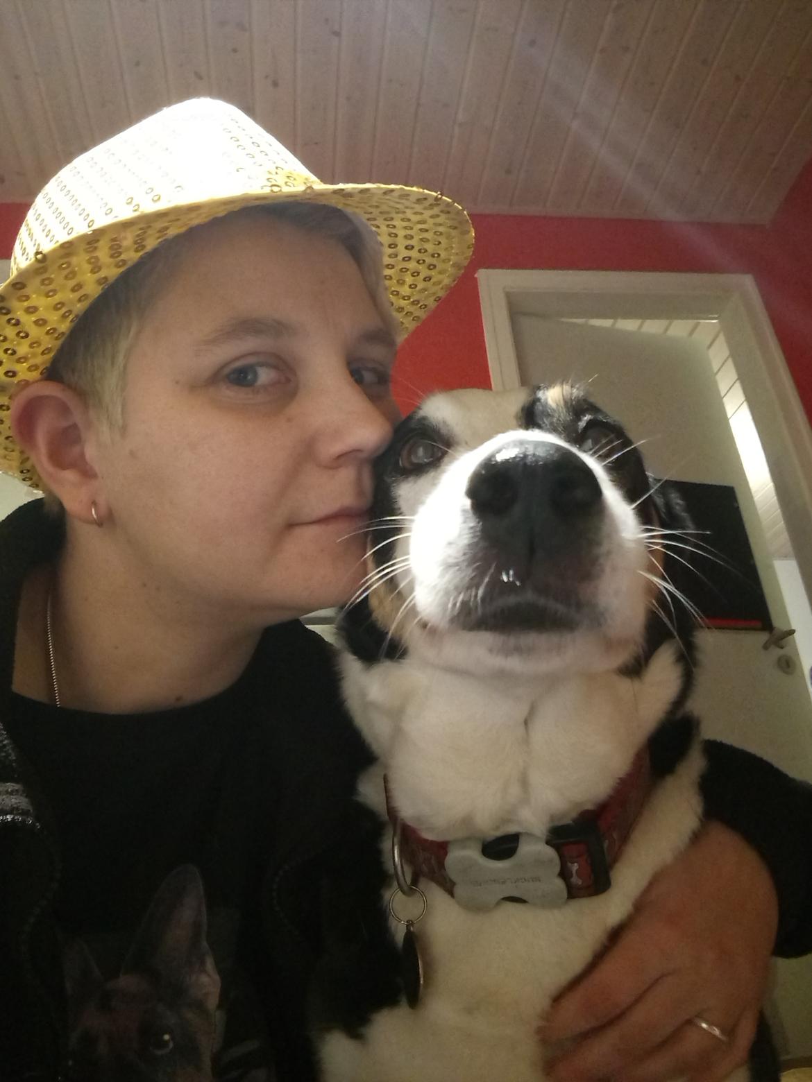 Blanding af racer nala billede 13