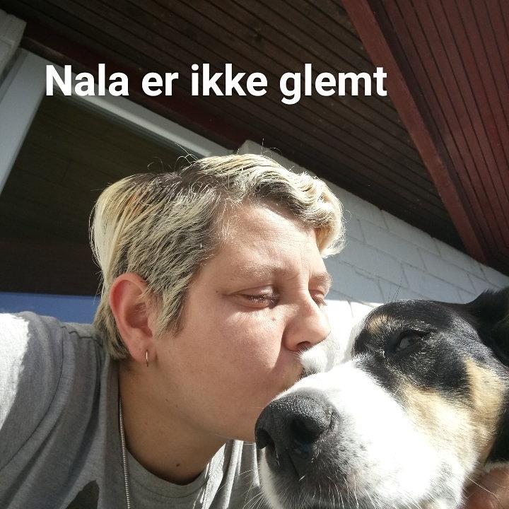 Blanding af racer nala billede 15