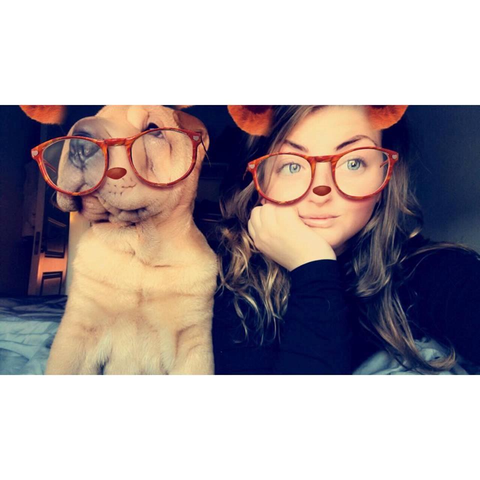 Shar pei Akira billede 5