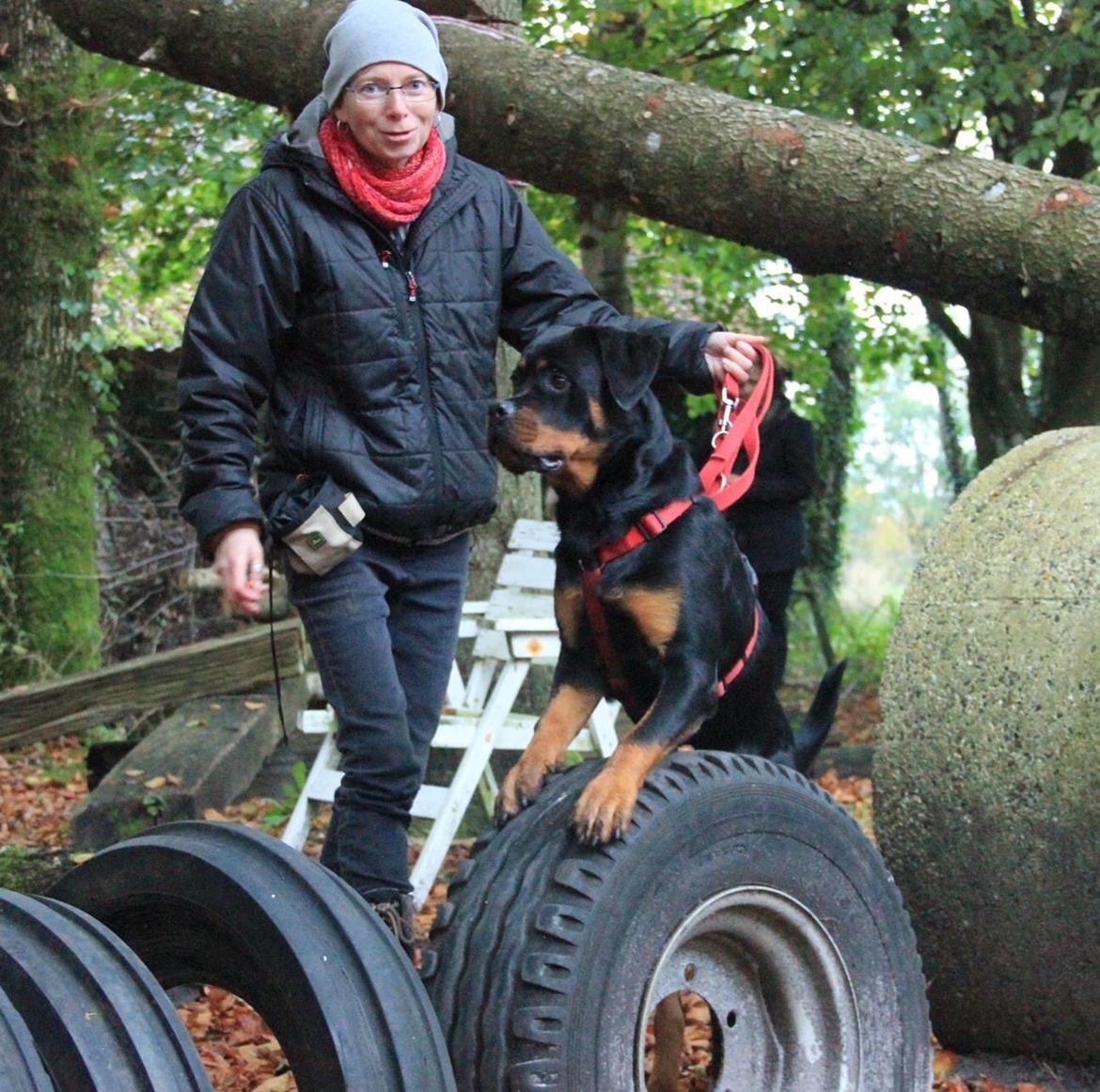 Rottweiler Aya Viola  billede 12