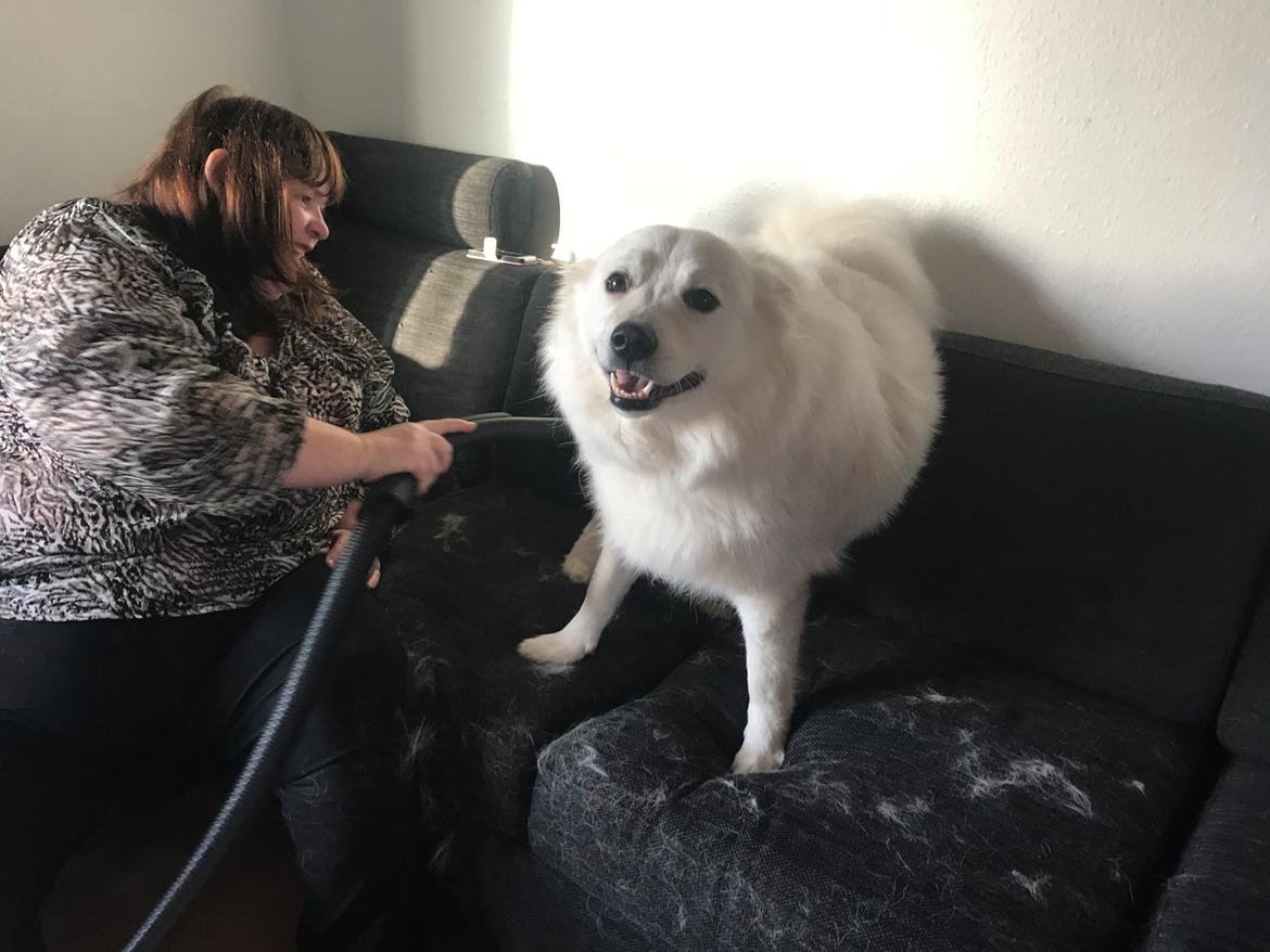 Blanding af racer Kanta billede 23