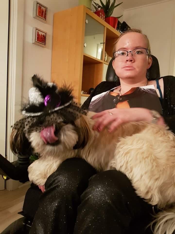 Shih tzu Bella billede 3