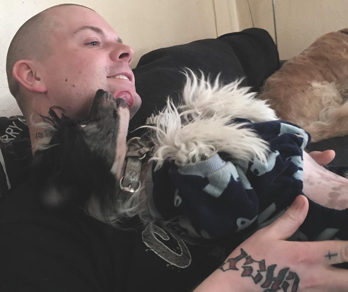 Chinese crested hårløs Jax billede 47