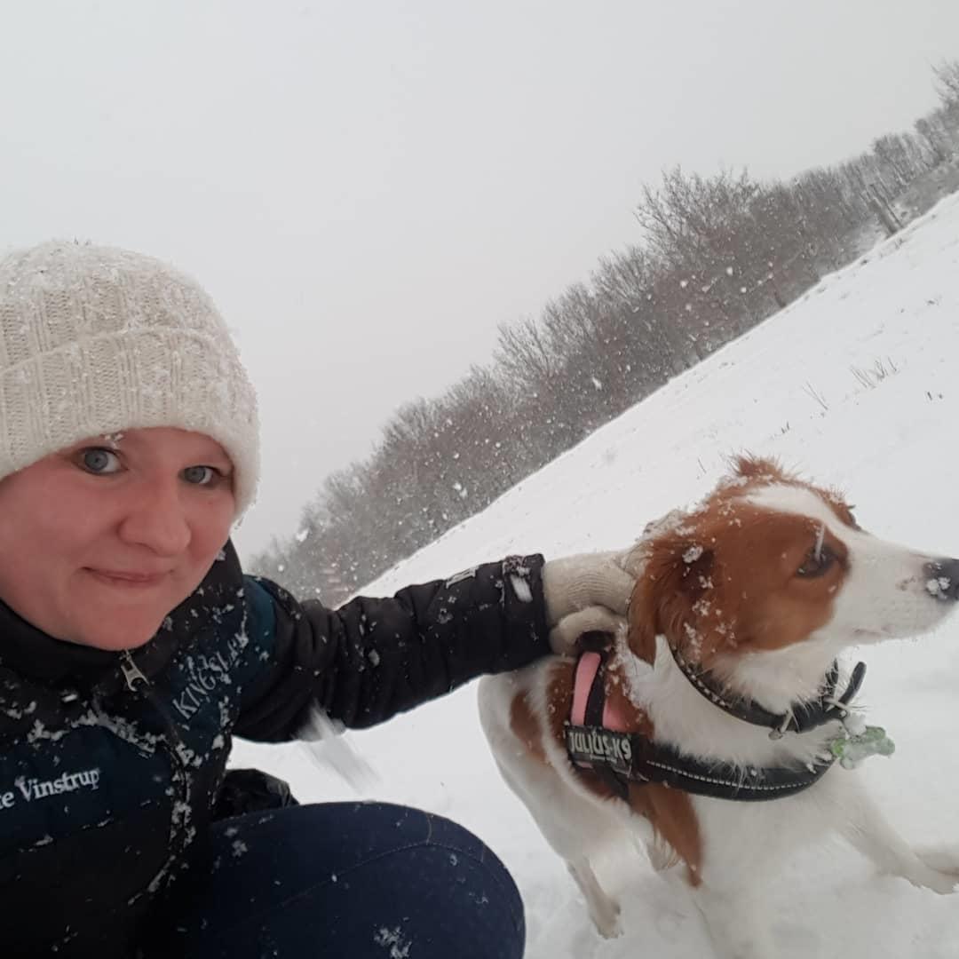 Kooikerhondje Clara billede 18