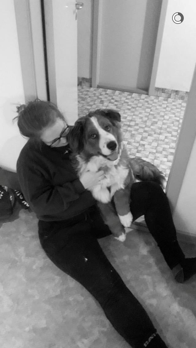 Blanding af racer Valder billede 9