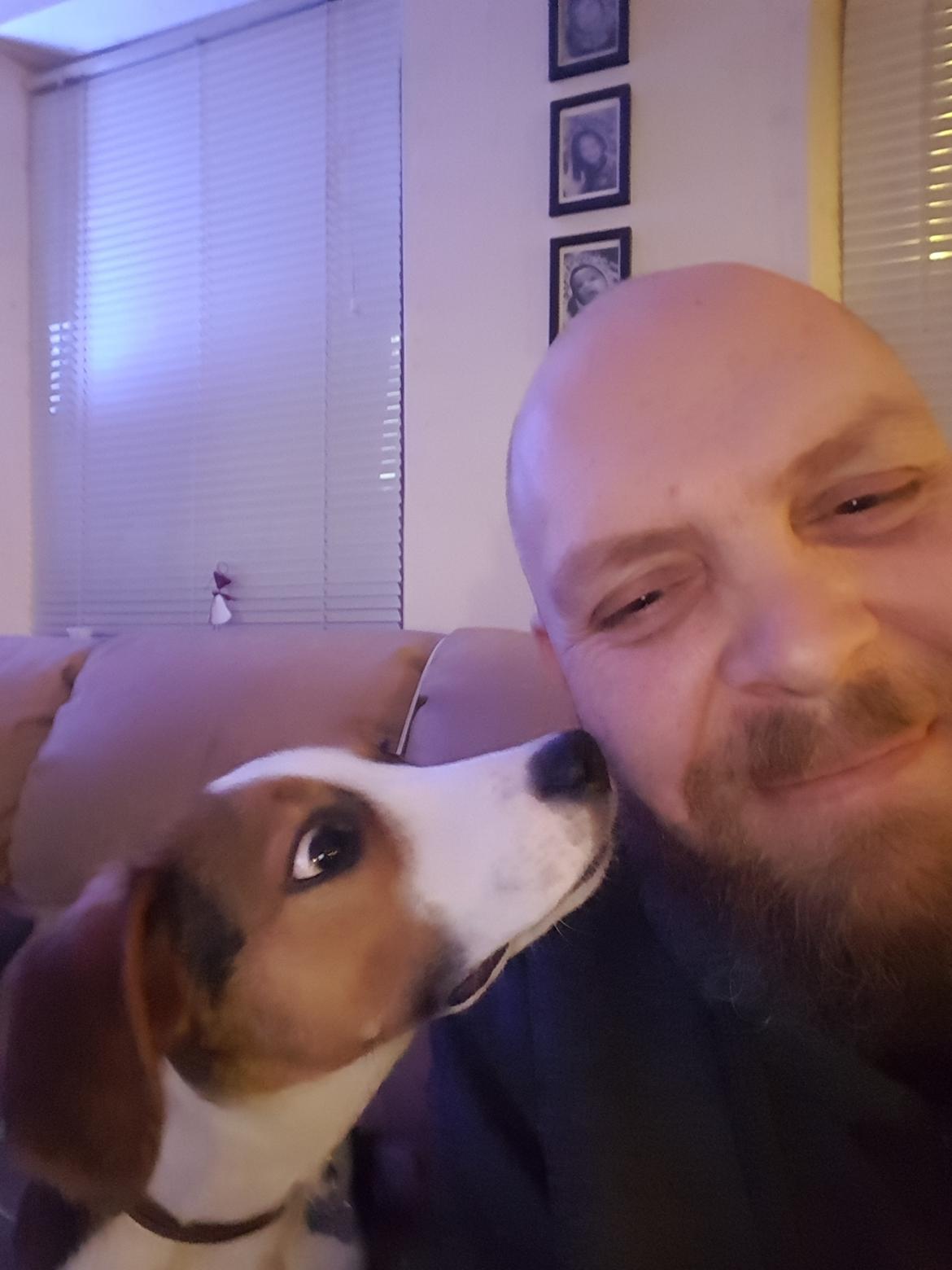 Blanding af racer Toby billede 11