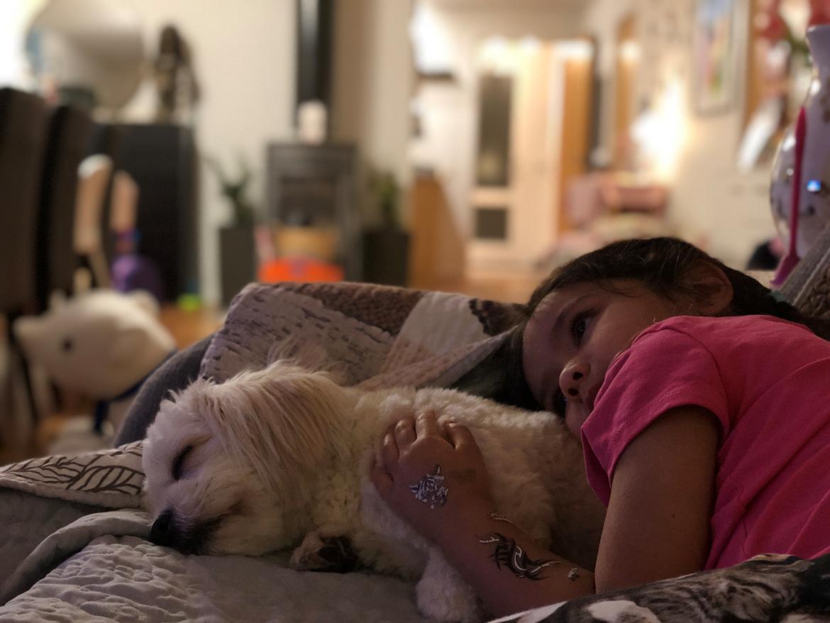 Blanding af racer Carla billede 15