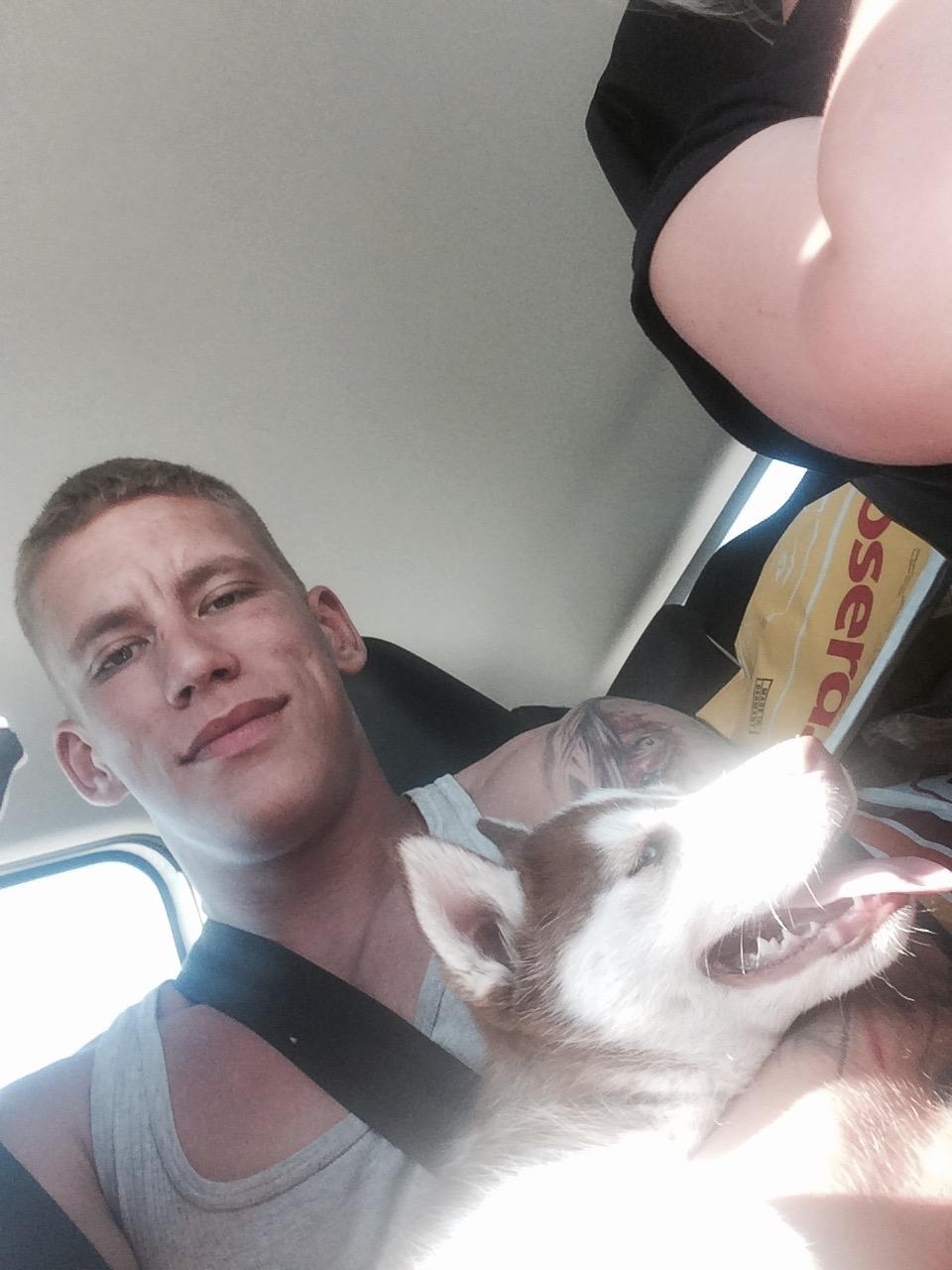 Siberian husky Karma <3 rip :'( <3 billede 9