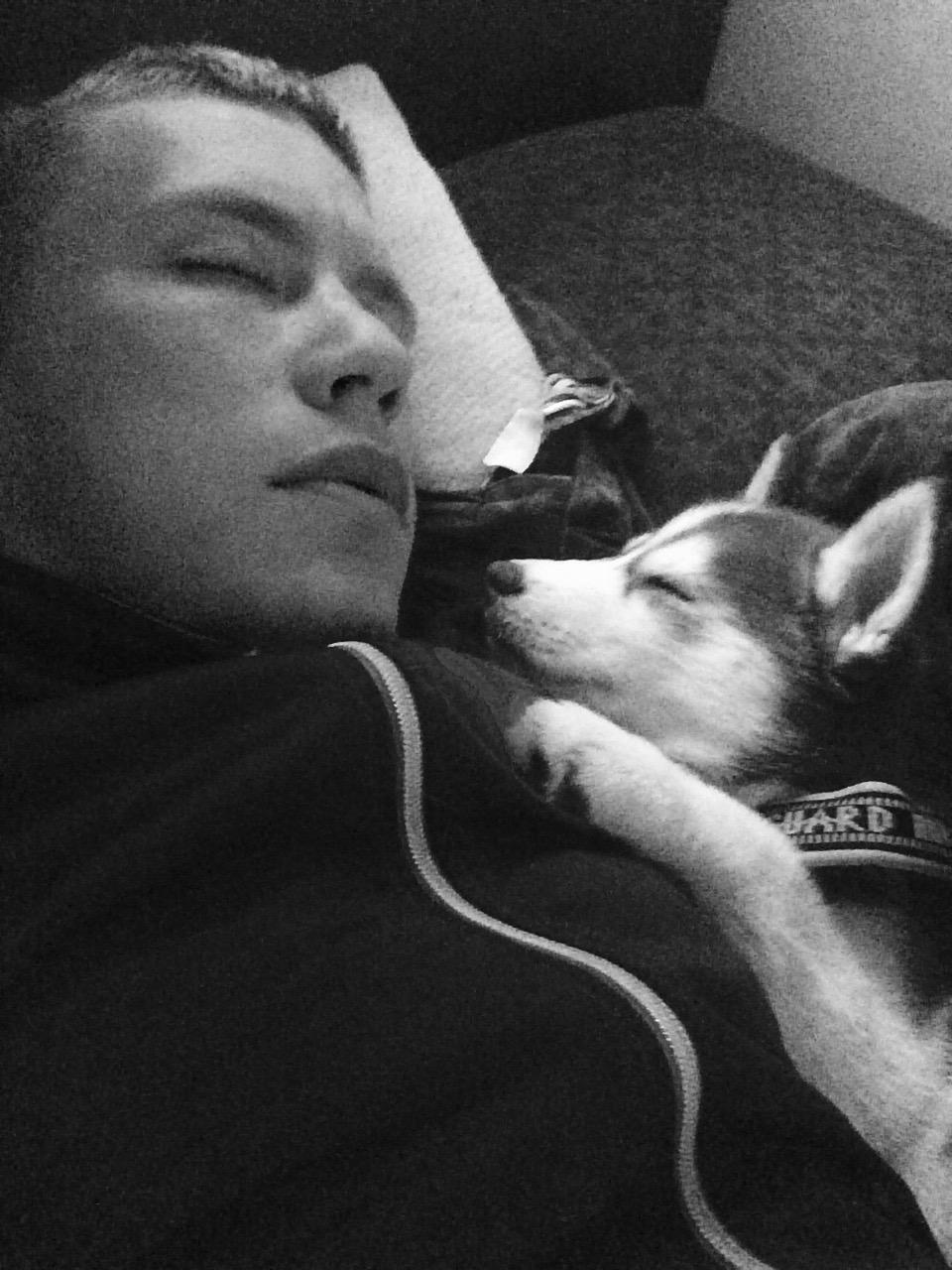 Siberian husky Karma <3 rip :'( <3 billede 12