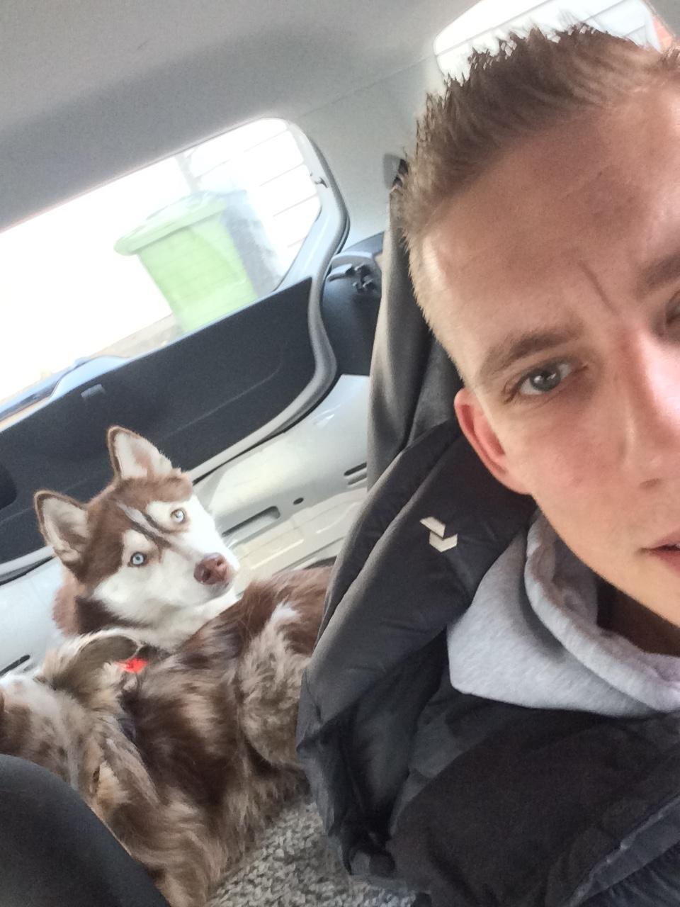 Siberian husky Karma <3 rip :'( <3 billede 28