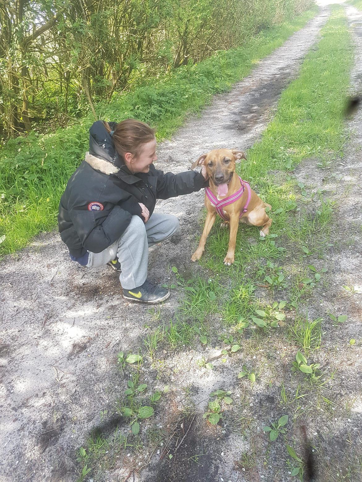 Blanding af racer kayla billede 13