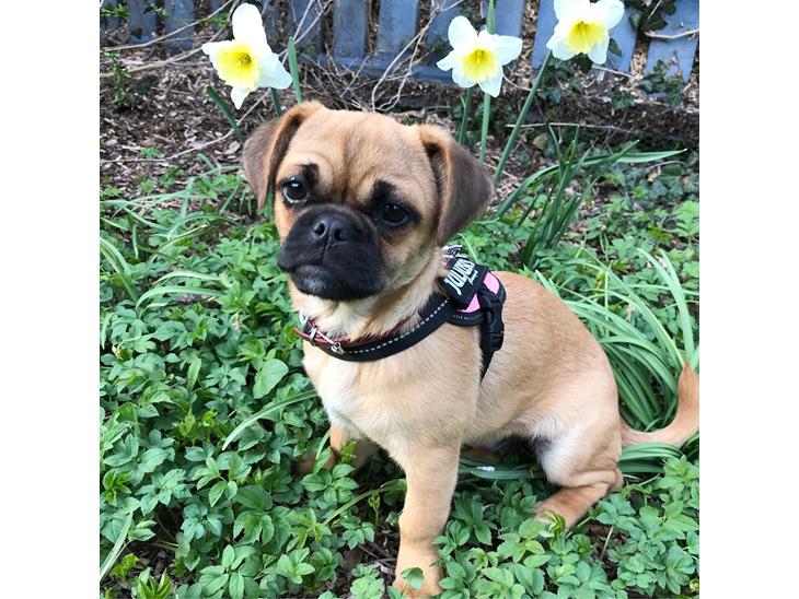 {{currentPhoto.altText}} billede {{currentPhoto.number}}