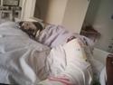Mops Alma