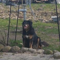 Blanding af racer Nanna