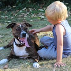 Blanding af racer Luna