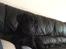 Labrador retriever Topper