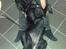 Labrador retriever uzo