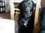 Labrador retriever uzo