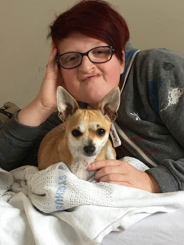 Blanding af racer Pixi billede 4