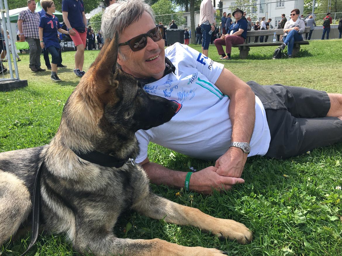 Schæferhund Gunner billede 5