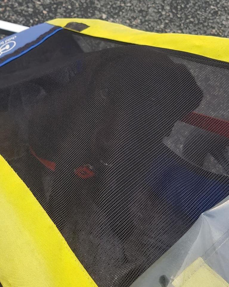 Labrador retriever Pinnmoors Perry Tequila - Med ude og løbe billede 15