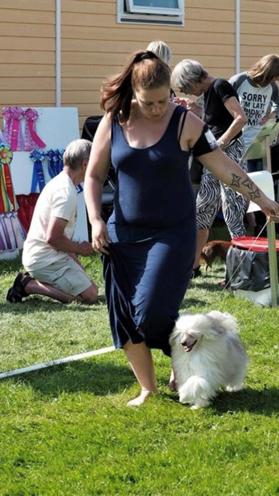 Chinese crested powder puff Maze  billede 2