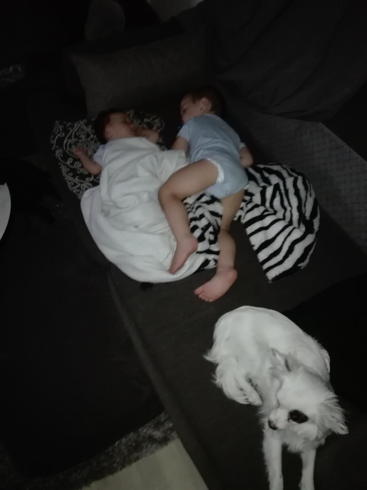 Blanding af racer LaBelle aka Bell Bell billede 5