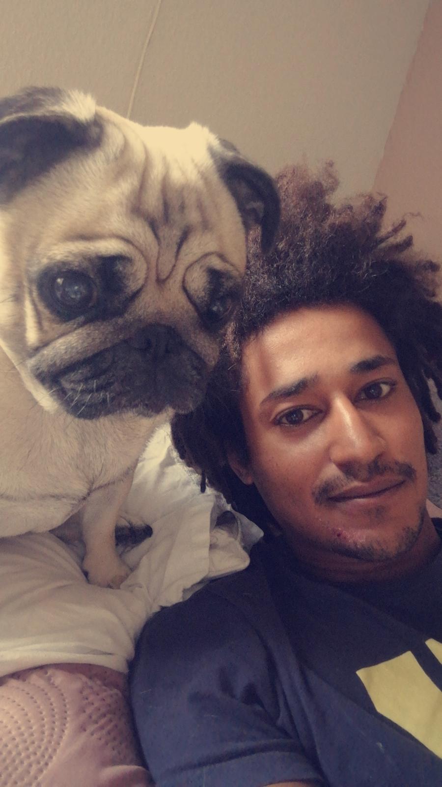 Mops Alma billede 11