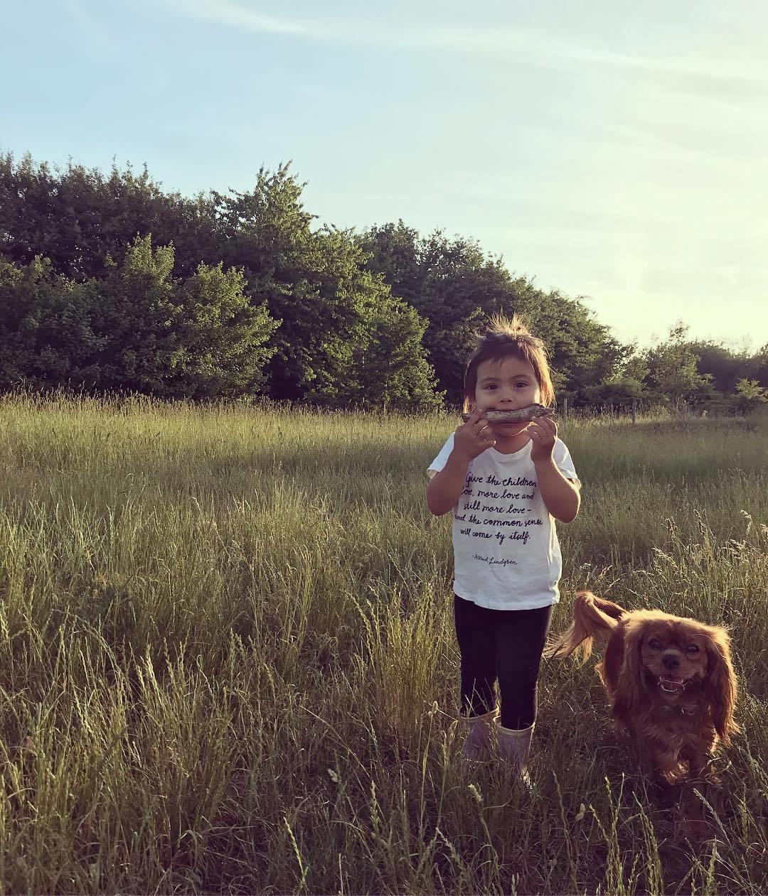 Cavalier king charles spaniel Pupik billede 3