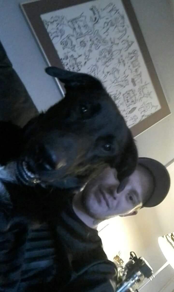 Blanding af racer Jørn  billede 14