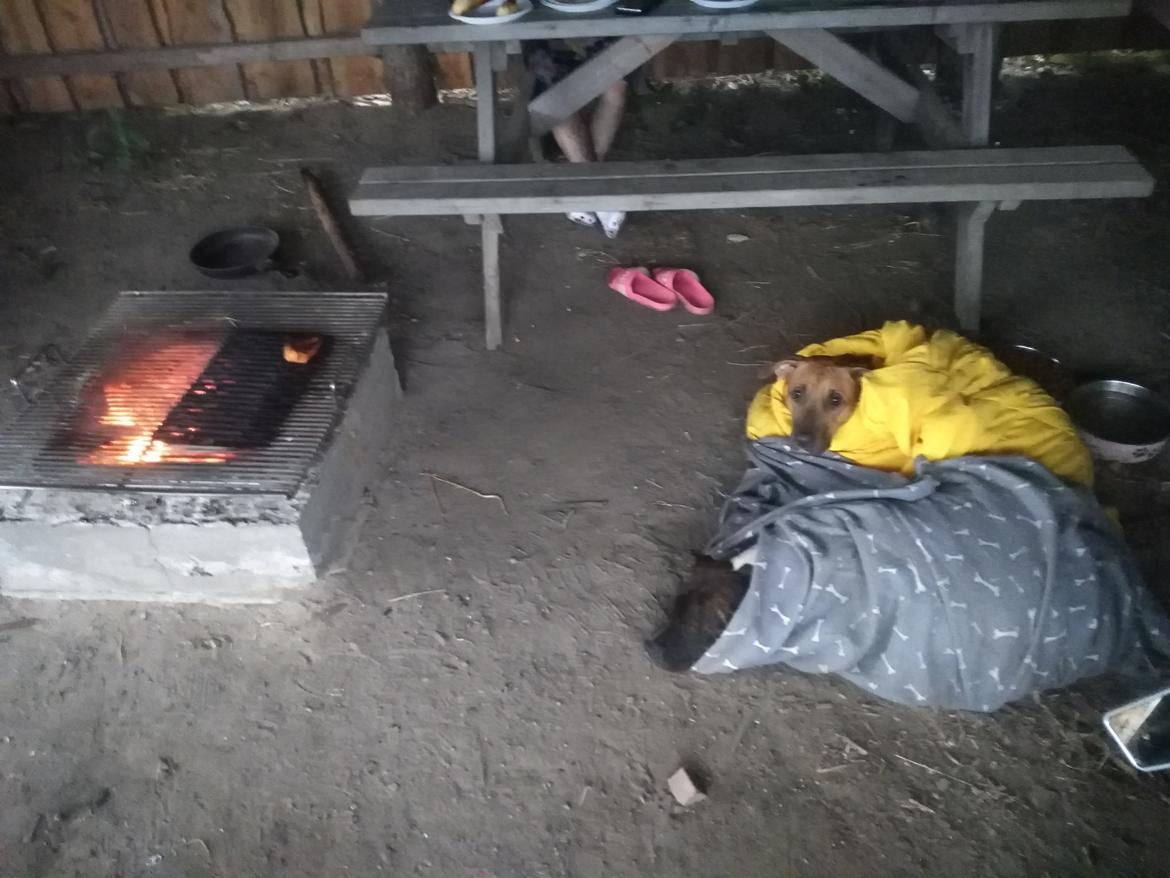 Blanding af racer kayla billede 27