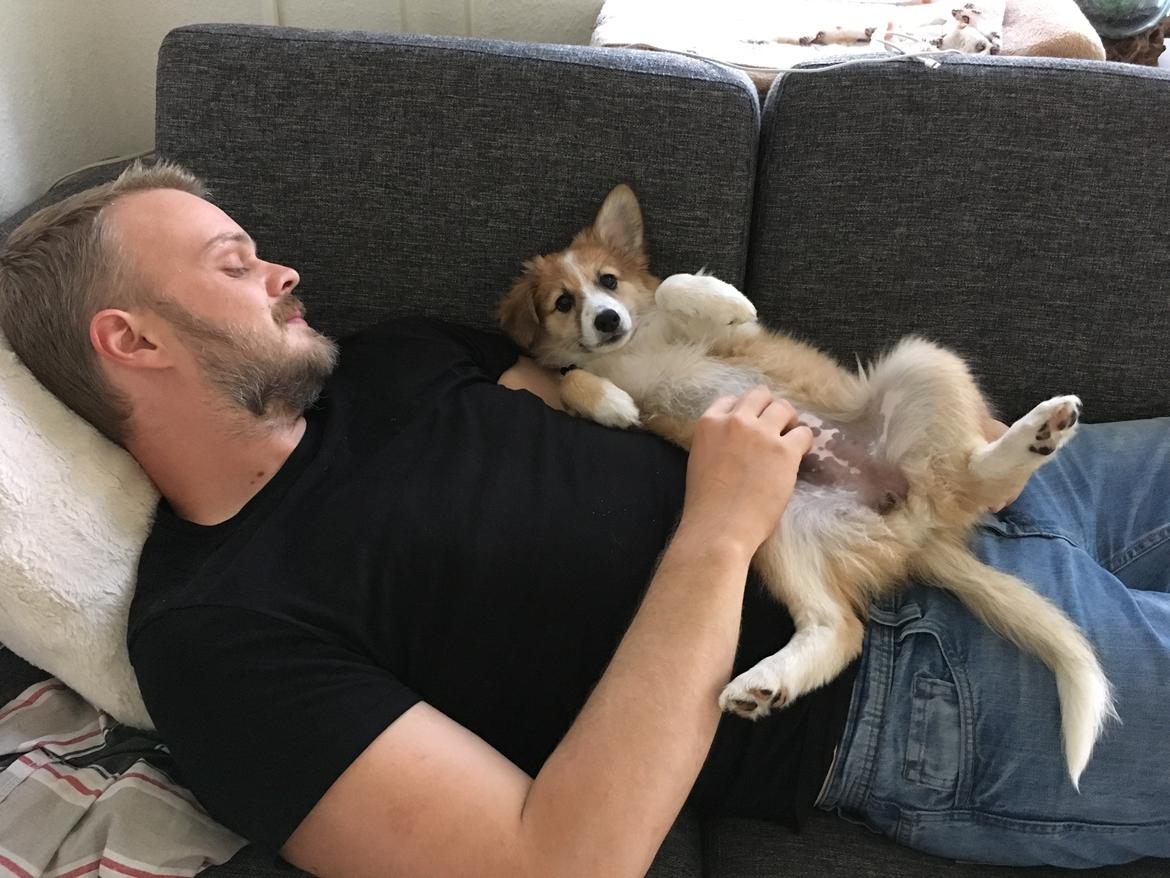 Blanding af racer Maisie billede 3