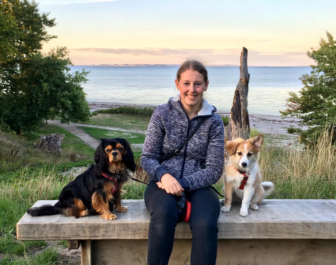 Blanding af racer Maisie billede 16