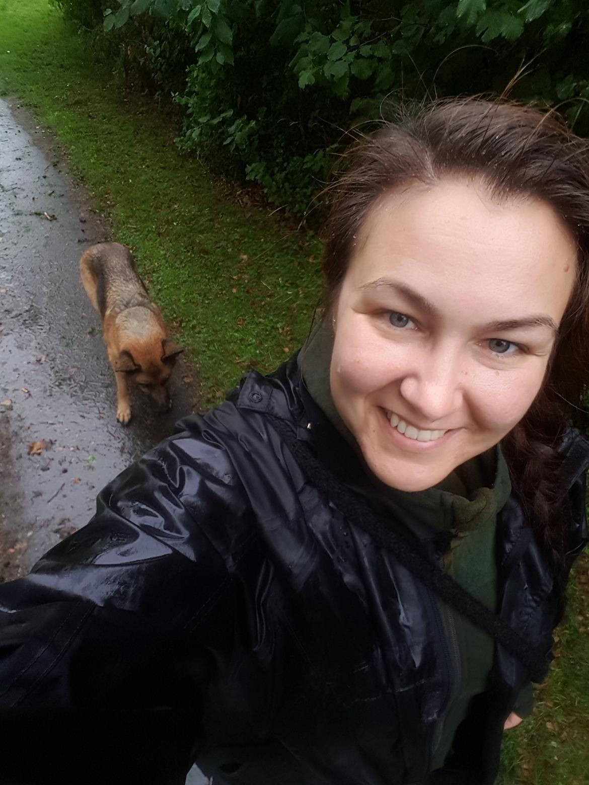 Schæferhund Arijel's Fidji  billede 14