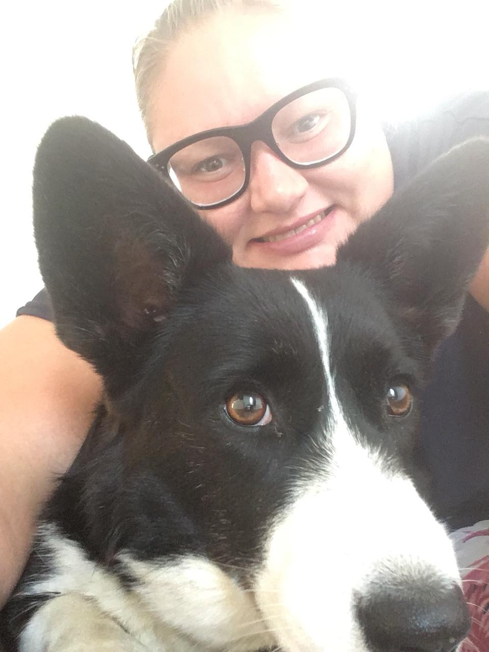 Welsh corgi cardigan Blondie's U 4 Ever  billede 46