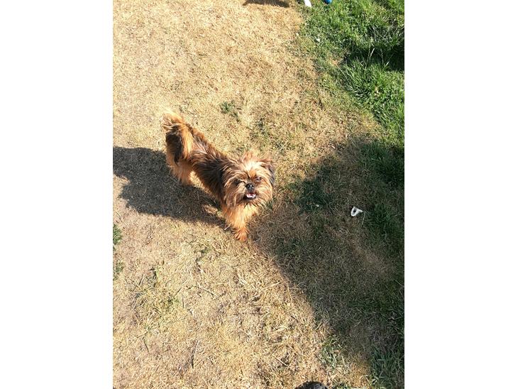 {{currentPhoto.altText}} billede {{currentPhoto.number}}