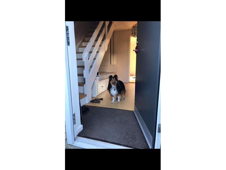 {{currentPhoto.altText}} billede {{currentPhoto.number}}