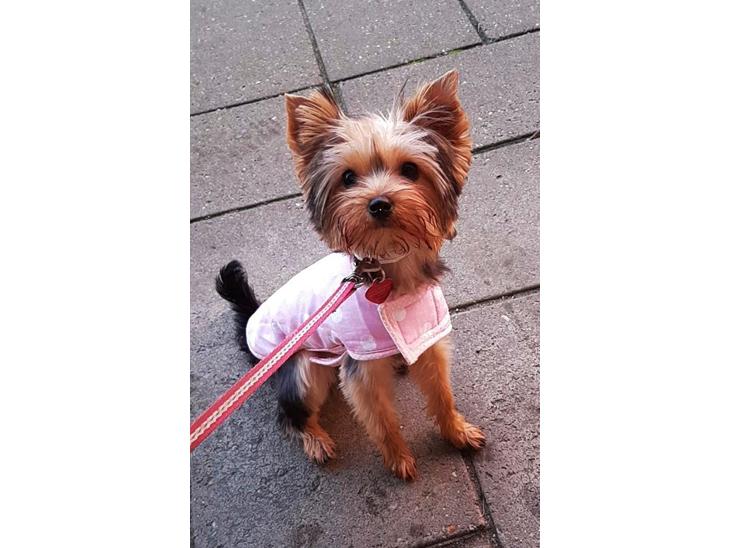 {{currentPhoto.altText}} billede {{currentPhoto.number}}