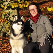 Siberian husky Mesmocan Lightning Ridge (Iza)
