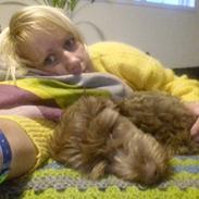 Blanding af racer Terry