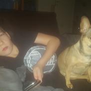 Blanding af racer Wilma