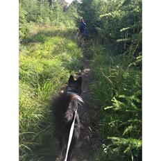 Blanding af racer Marley