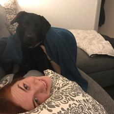 Blanding af racer Nellie