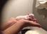 Coton de tulear Aphrodite "Dicte"