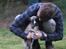 Whippet Tanalorn Phelan of the New Panther - "Far" byder lige Fille ordentlig velkommen til familien <3
