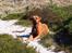 Blanding af racer Freja - Dogue de Bordeaux, Rottweiler, Cane Corso - Elsker gåture - og pinde..