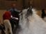 Keeshond Asdis - House of Keesgaard A Silver Past 