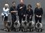 Keeshond Asdis - House of Keesgaard A Silver Past 